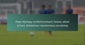 Pepe: Występy na Mistrzostwach Świata, wkład w Euro, dziedzictwo reprezentacji narodowej